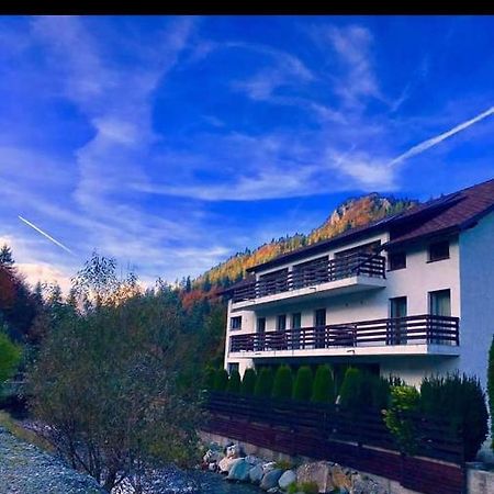 House Of River Moeciu De Sus Exteriör bild