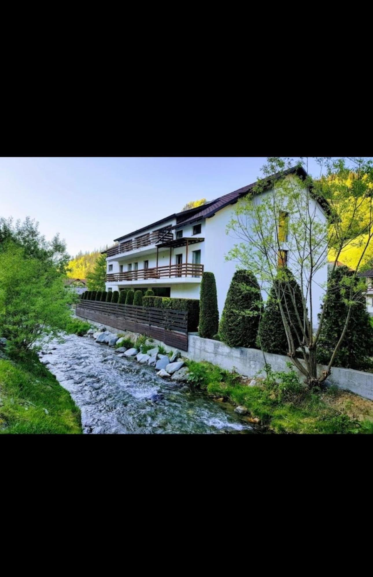 House Of River Moeciu De Sus Exteriör bild