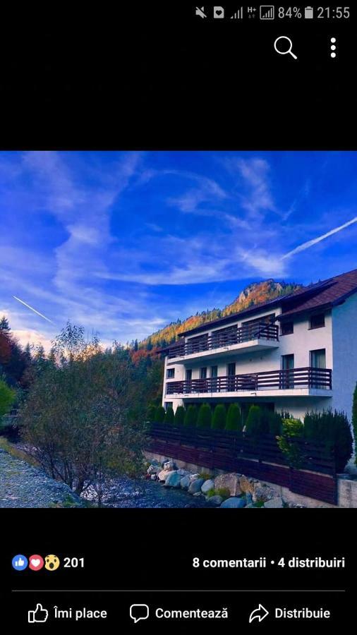 House Of River Moeciu De Sus Exteriör bild